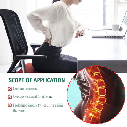 Parches Analgésicos para Espalda Baja - Alivio de Dolor Lumbar y Rigidez con Ajenjo (10 Piezas)-No mas dolor