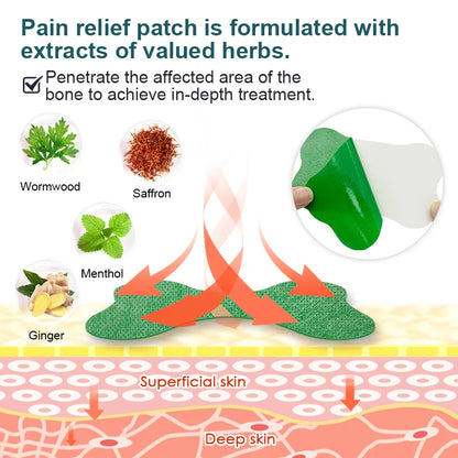 Parches Analgésicos para Espalda Baja - Alivio de Dolor Lumbar y Rigidez con Ajenjo (10 Piezas)-No mas dolor